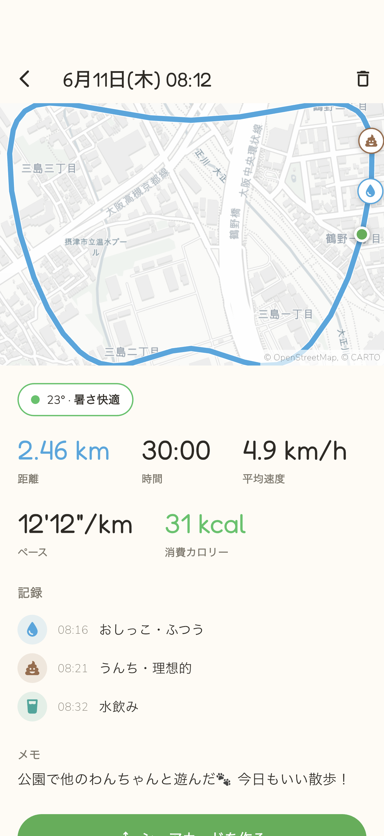 散歩の詳細 — ルート地図・距離・消費カロリー・健康ログ
