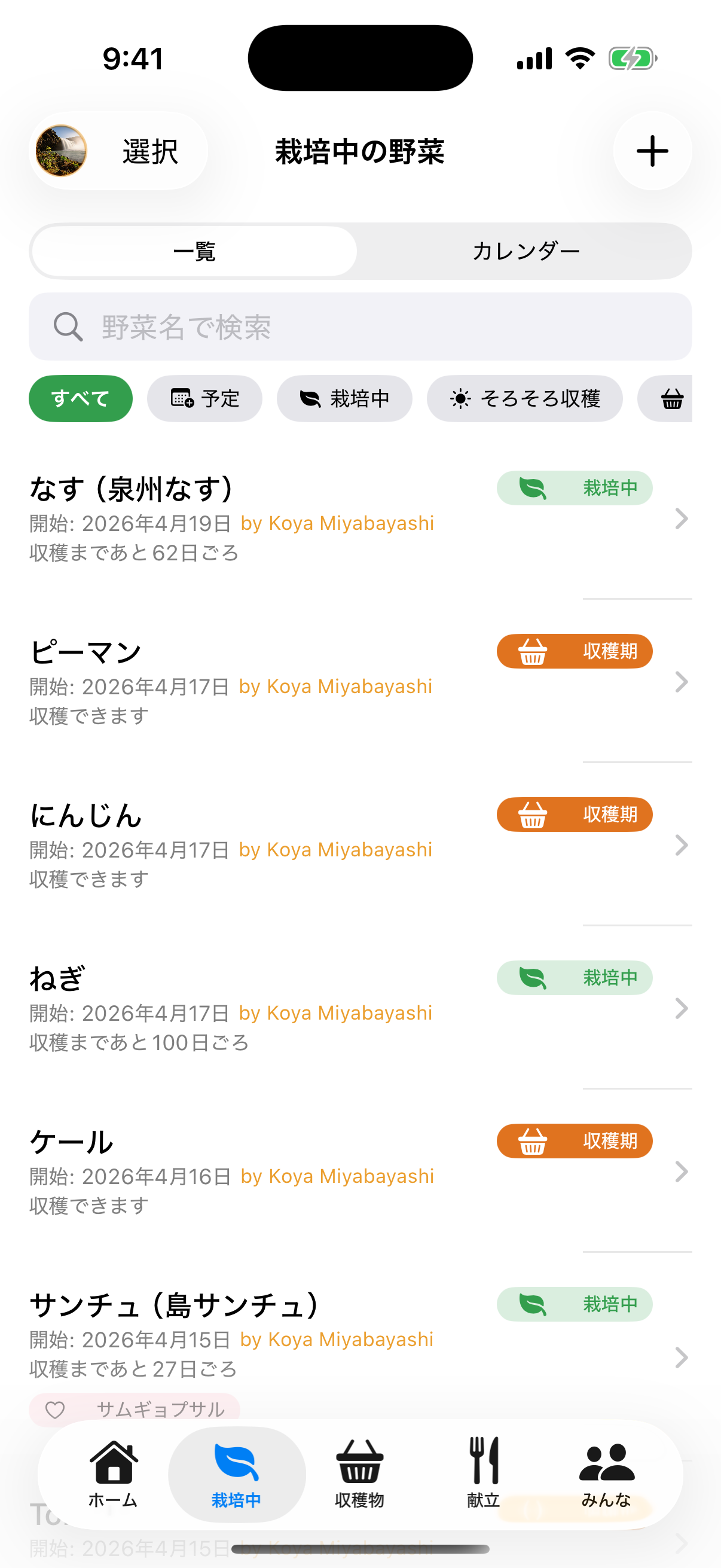 栽培中タブ