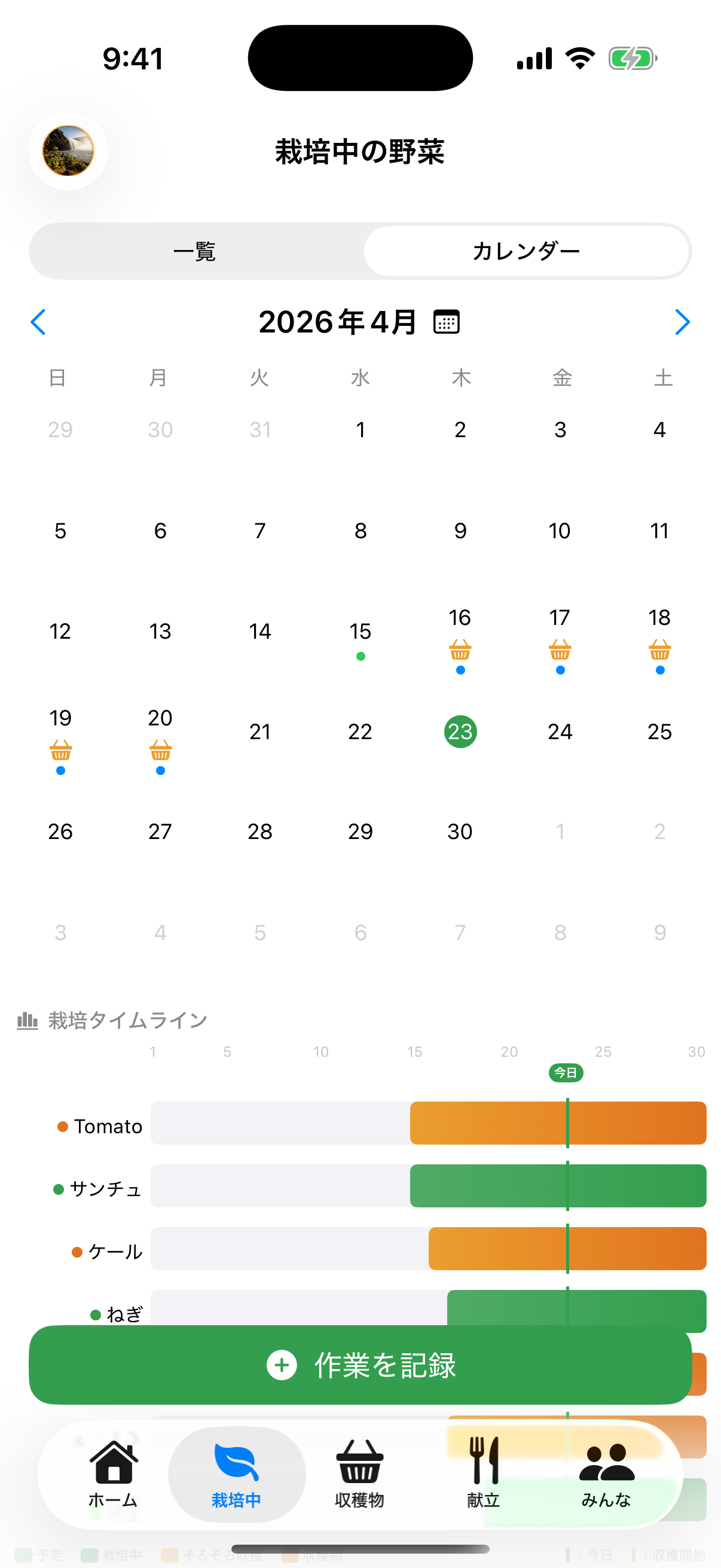 カレンダー表示