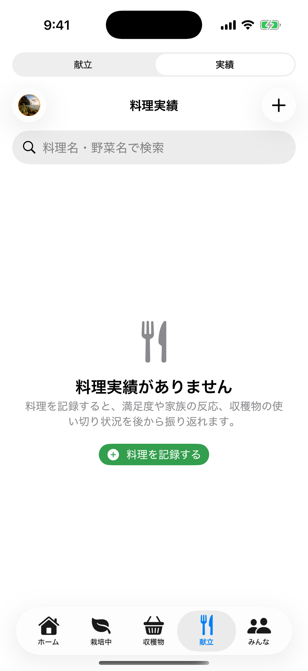 料理実績